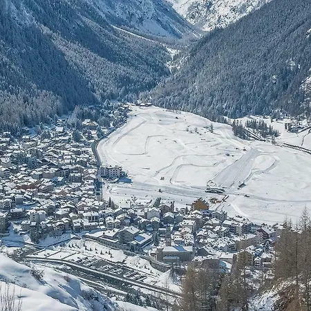 Calotta